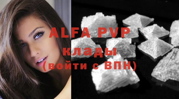 ПСИЛОЦИБИНОВЫЕ ГРИБЫ Бородино
