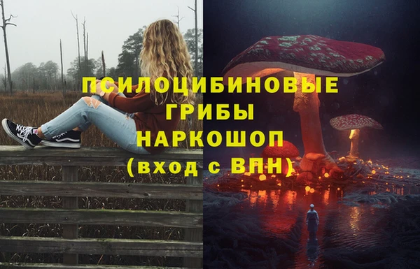 ПСИЛОЦИБИНОВЫЕ ГРИБЫ Бронницы