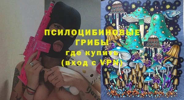 ПСИЛОЦИБИНОВЫЕ ГРИБЫ Бронницы