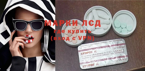 ПСИЛОЦИБИНОВЫЕ ГРИБЫ Бородино