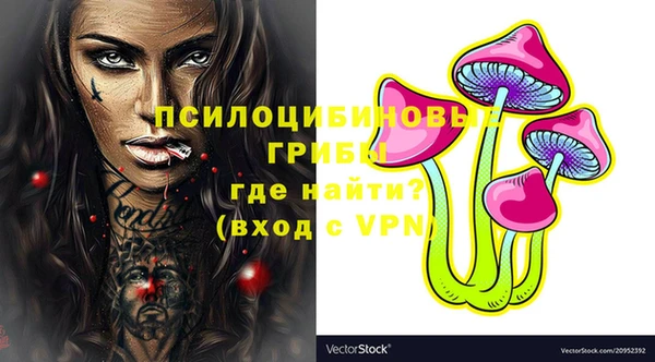 ECSTASY Бугульма