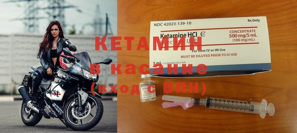 ПСИЛОЦИБИНОВЫЕ ГРИБЫ Бородино